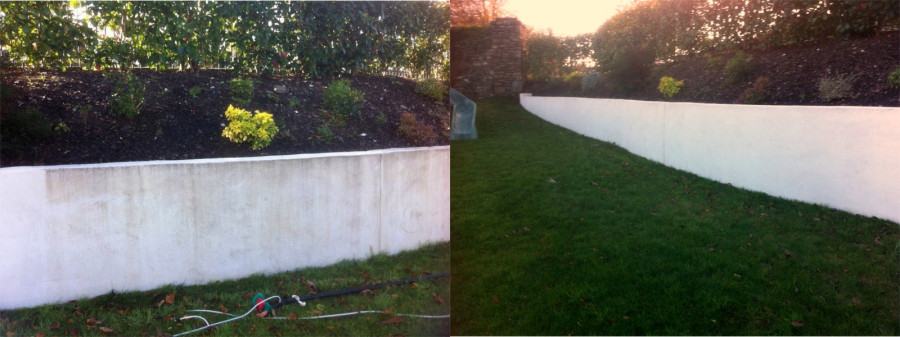Garden wall before and  after soft washing by Pro Wash.ie, Cork, Ireland