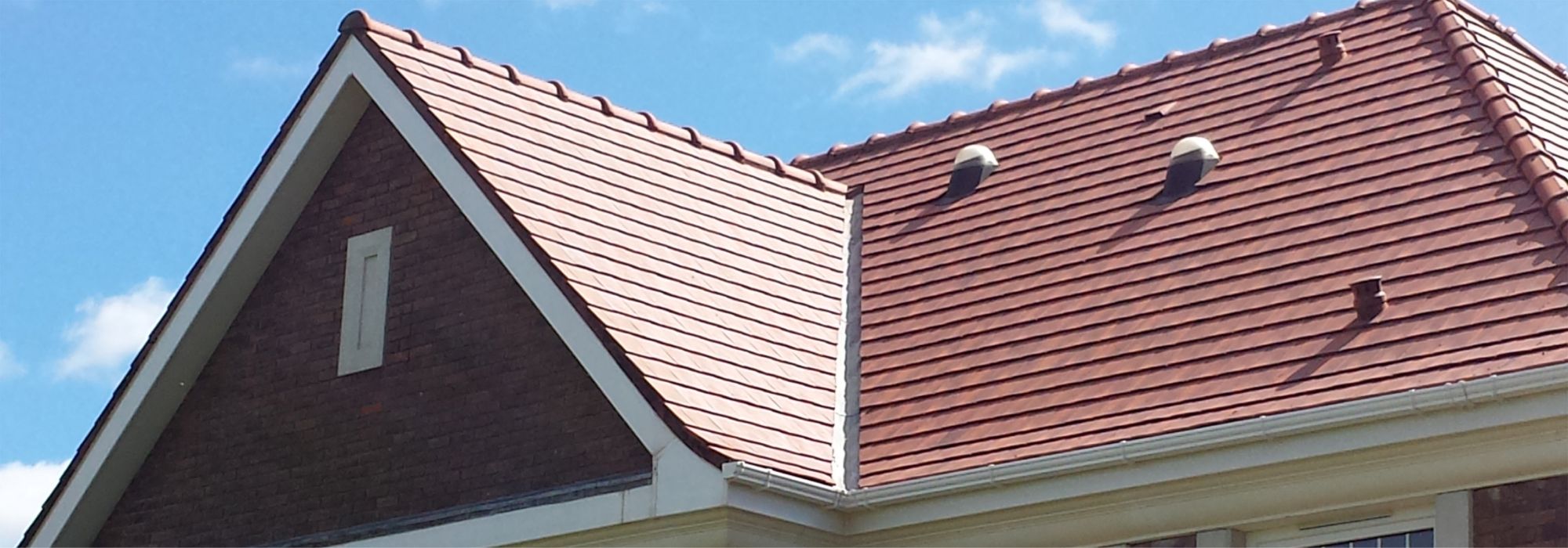 House after Roof Cleaning by Pro Wash.ie, Roof Cleaning & Soft Washing, Ireland