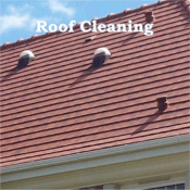 Roof Cleaning