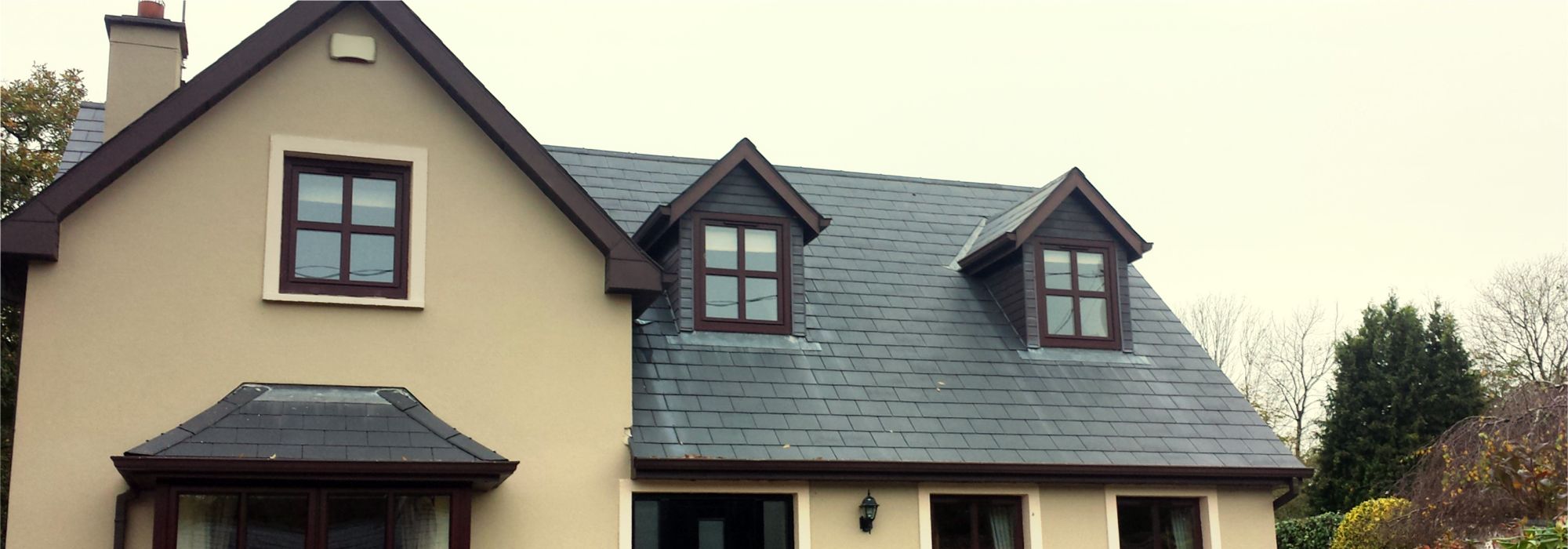House after Slate Roof Cleaning by Pro Wash.ie, Roof Cleaning & Soft Washing, Ireland